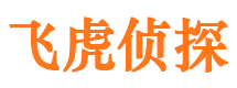 阳高侦探公司